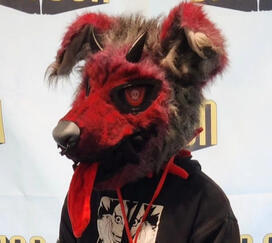 Fursuit Instagram